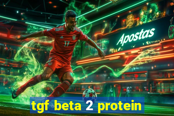 tgf beta 2 protein